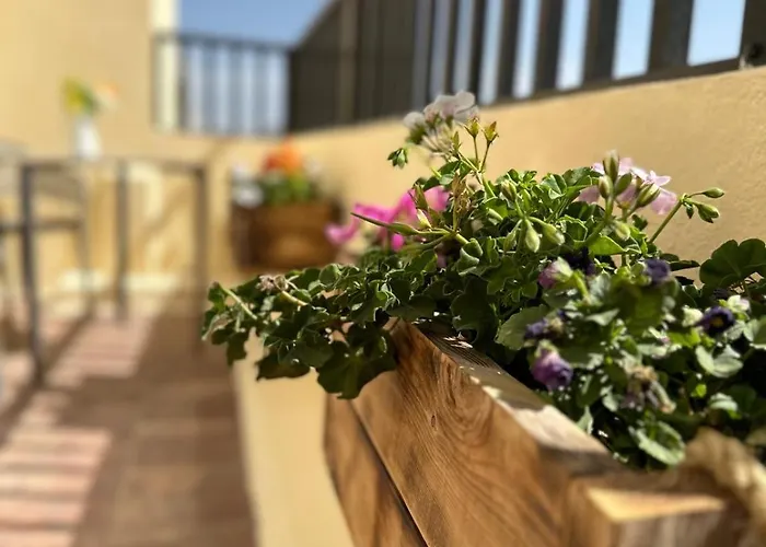 Apartman Nahmar Arrecife